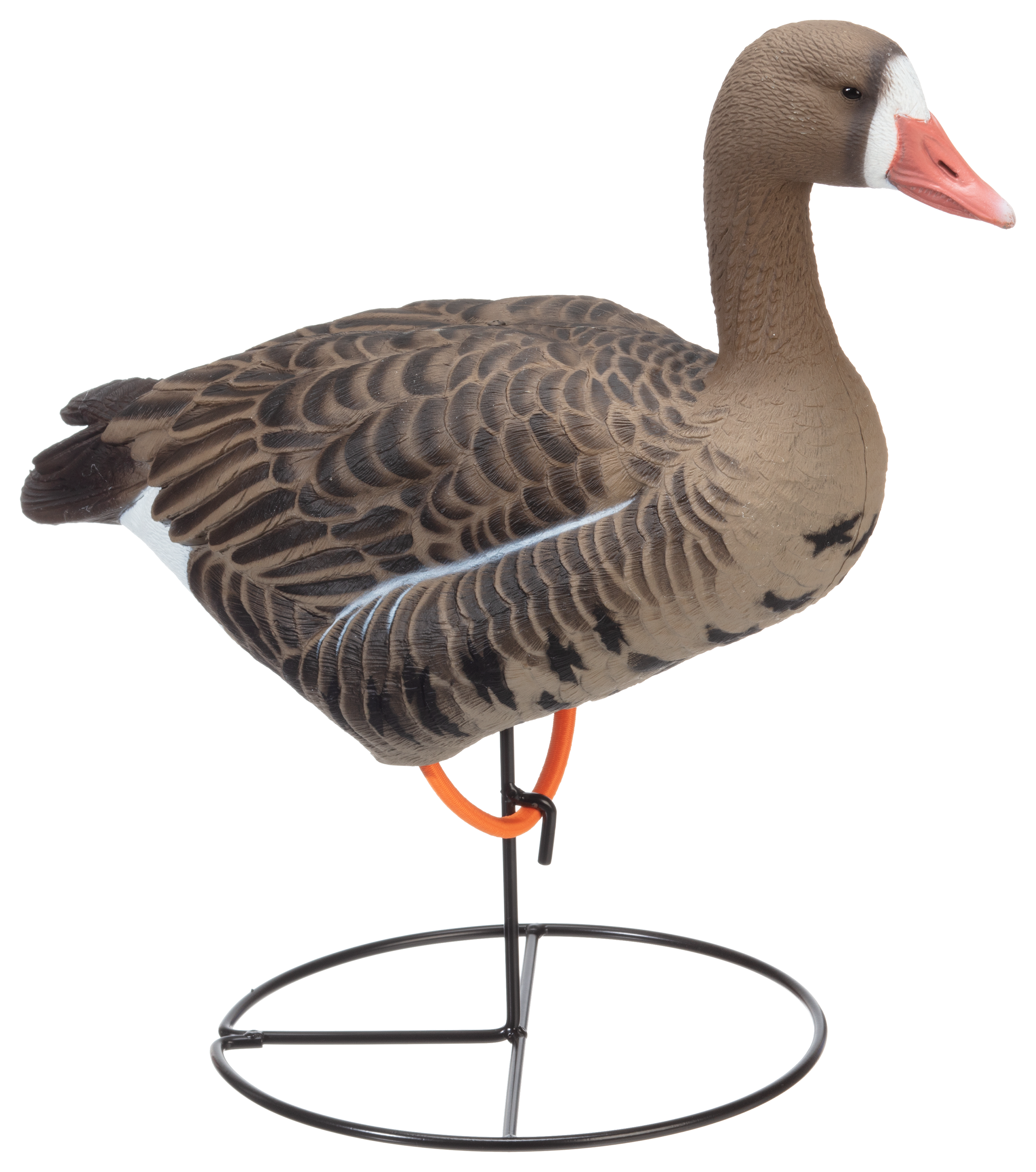 Dakota Decoy Whitefront FullBody Goose Decoys Bass Pro Shops
